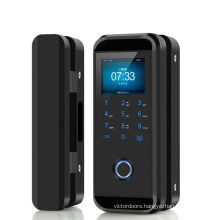 NEW & Popular Smart Fingerprint door lock for glass door